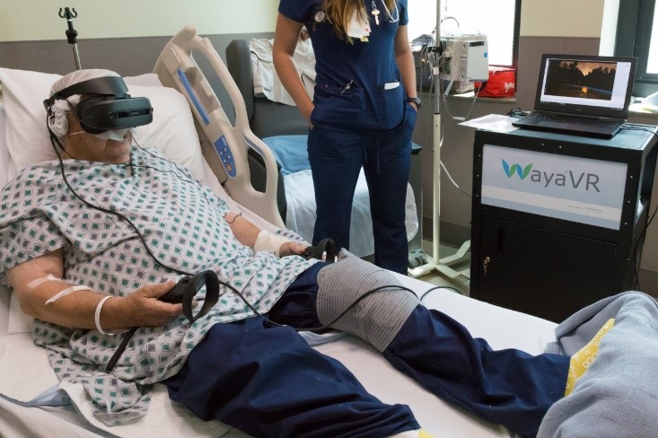 Immersive Technology