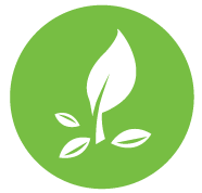 seed icon